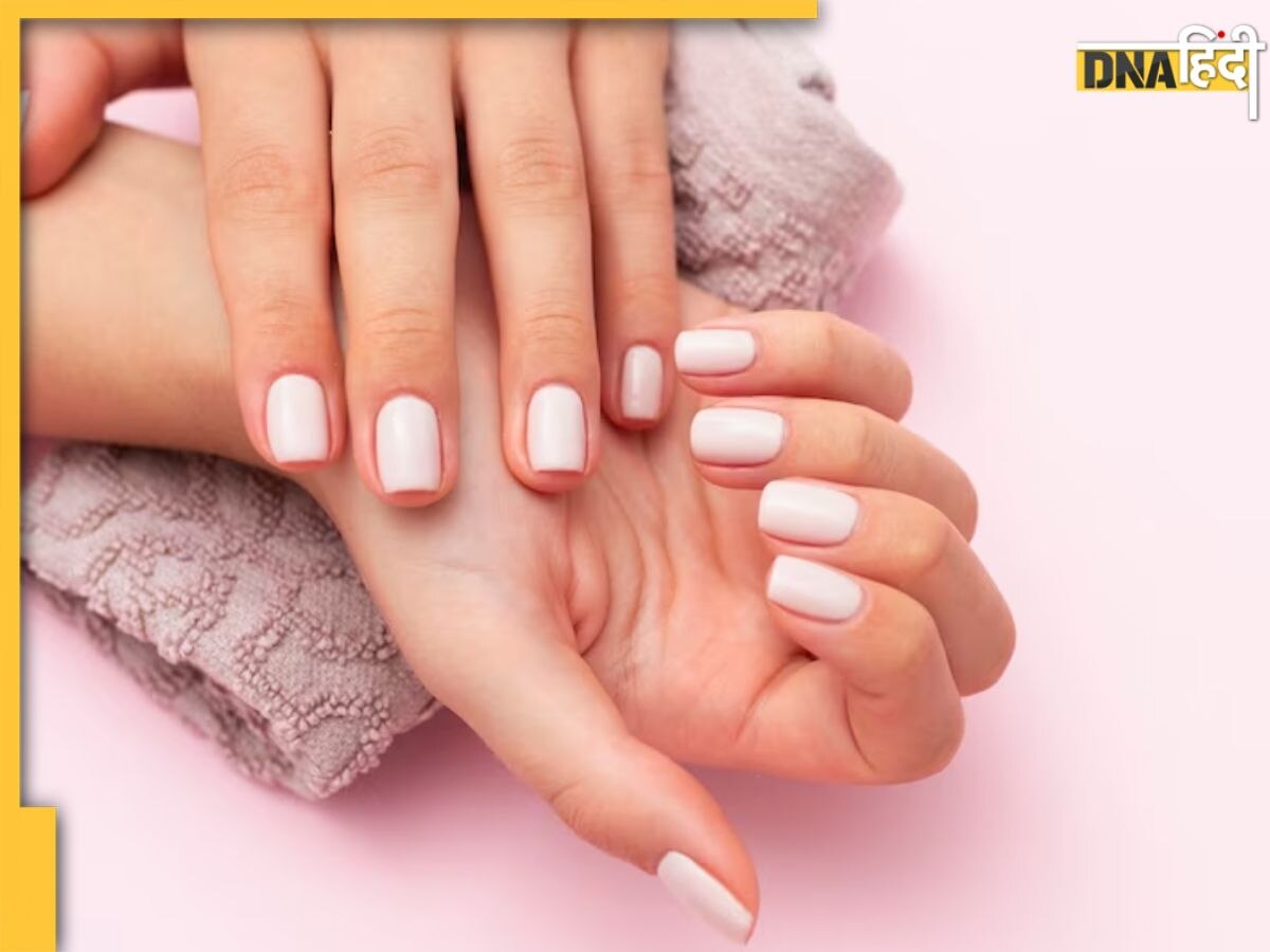 Nail Care: कमजोर-पीले होकर टूट रहे हैं नाखून? आज से ही खाना शुरू कर दें ये 5 फूड्स, हफ्तेभर में Nails होंगे लंबे और मजबूत