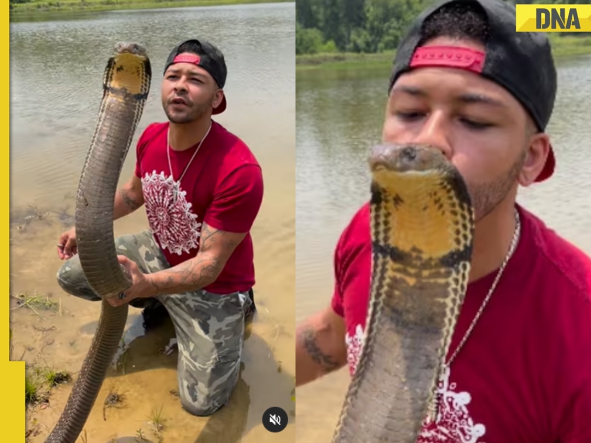 Viral video: Man without any fear kisses 12-foot-long king cobra's head, internet calls it ‘terrifying’