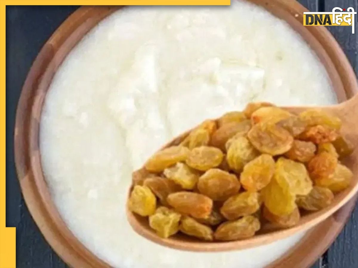 Dahi Raisins Benefits:नाश्ते में दही के साथ मिलाकर खाएं ये 1 चीज, शरीर में नहीं होगी कैल्शियम की कमी, दांत और हड्डियां भी होंगे मजबूत