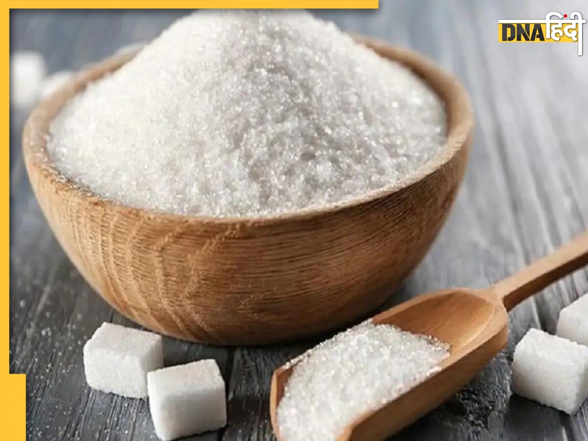 Sugar Export: इस बार चीनी का नहीं होगा एक्सपोर्ट, क्या शुगर की कीमतों पर पड़ेगा असर? 