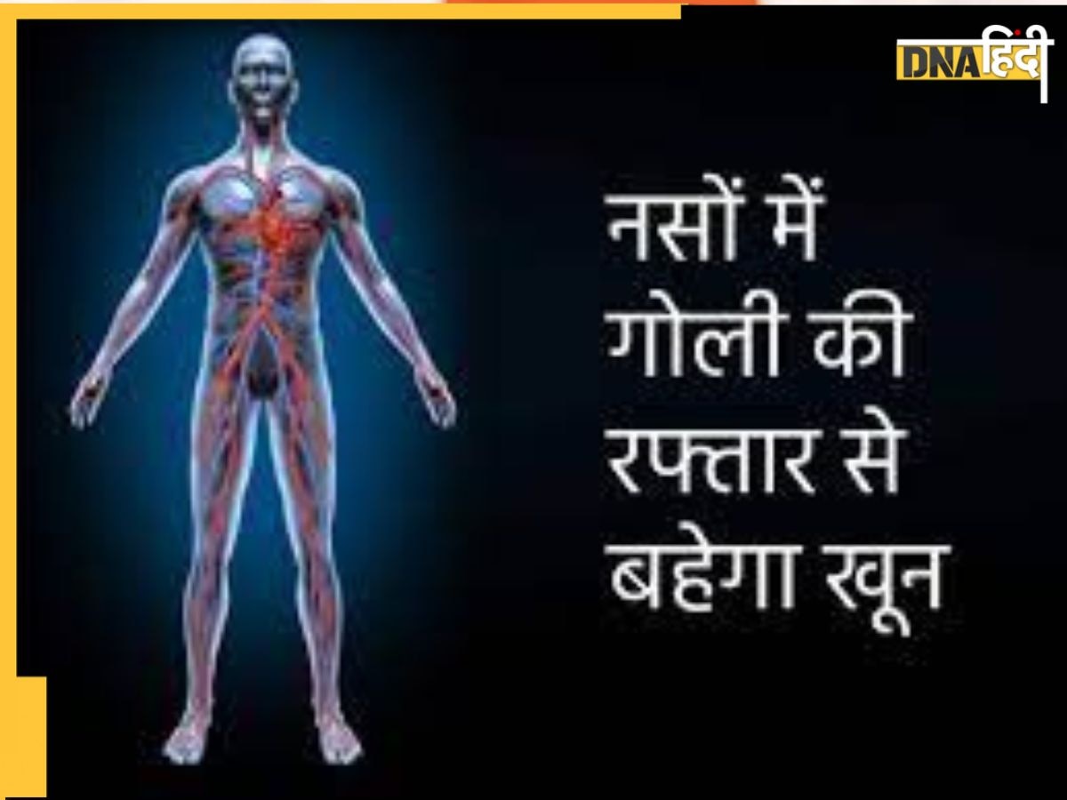 Cholesterol Home Remedy: नसों में जमी वसा गलाकर ये 6 चीजें खून का दौरा बढ़ा देंगी, तुरंत दूर होगा हार्ट अटैक-स्ट्रोक का खतरा