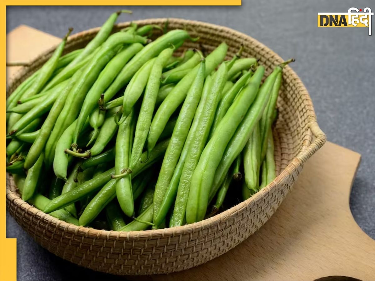 Beans For Diabetes: डायबिटीज में किसी दवाई से कम नहीं है ये हरी सब्जी, खाते ही कंट्रोल हो जाता है High Blood Sugar