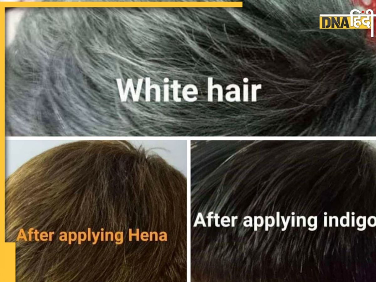 Goodbye to White Hair: शर्तिया सफेद बाल होंगे नेचुरली हमेशा के लिए काले बस हिना-इंडिगो पेस्ट लगाना कर दें शुरू 