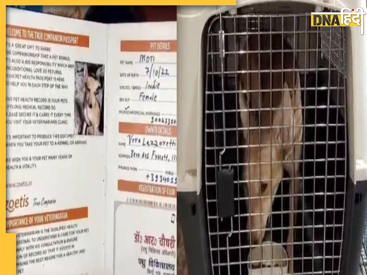 Dog Passport: बनारस में गली के आवारा कुत्तों का बन गया पासपोर्ट, अब विदेश जाकर बसेंगे