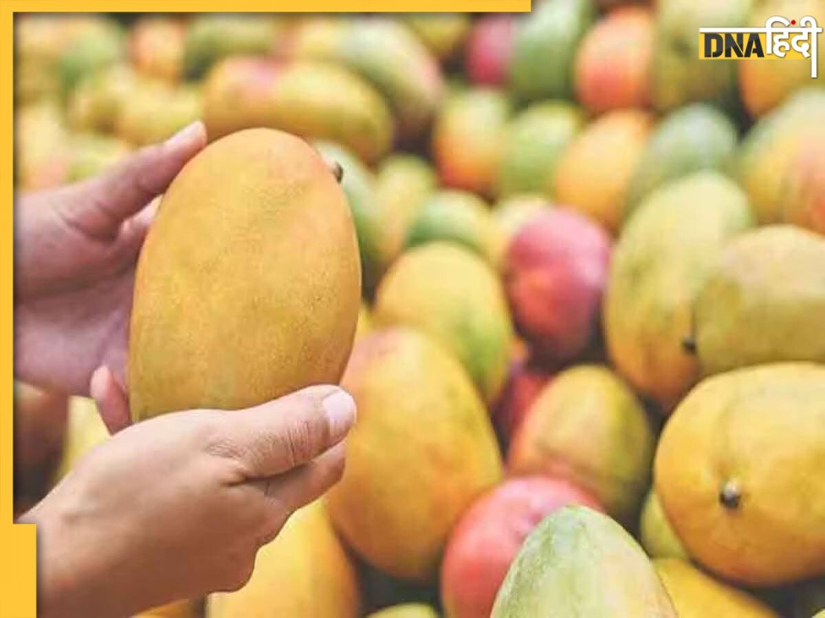 Chemically Ripened Mangoes: केमिकल वाले आम खरीदने से पहले करें चेक वरना ऑक्सीजन की कमी जैसी होंगी कई दिक्कतें