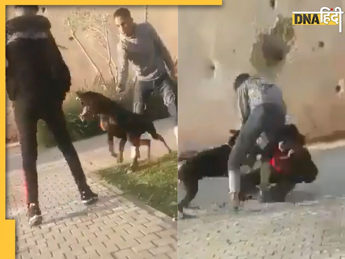 Dog Attack Video: कुत्ते से जान के पंगा लेना पड़ा भारी, वीडियो में देखें कैसे शख्स को नोच खाया