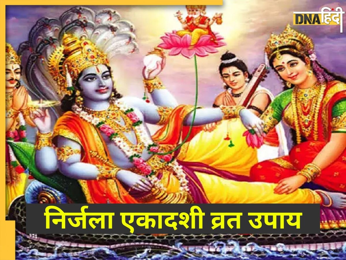 Nirjala Ekadashi 2023: सुख-समृद्धि के लिए आज निर्जला एकादशी पर करें ये 3 उपाय, श्रीहरि की कृपा से दूर होगा पितृ दोष