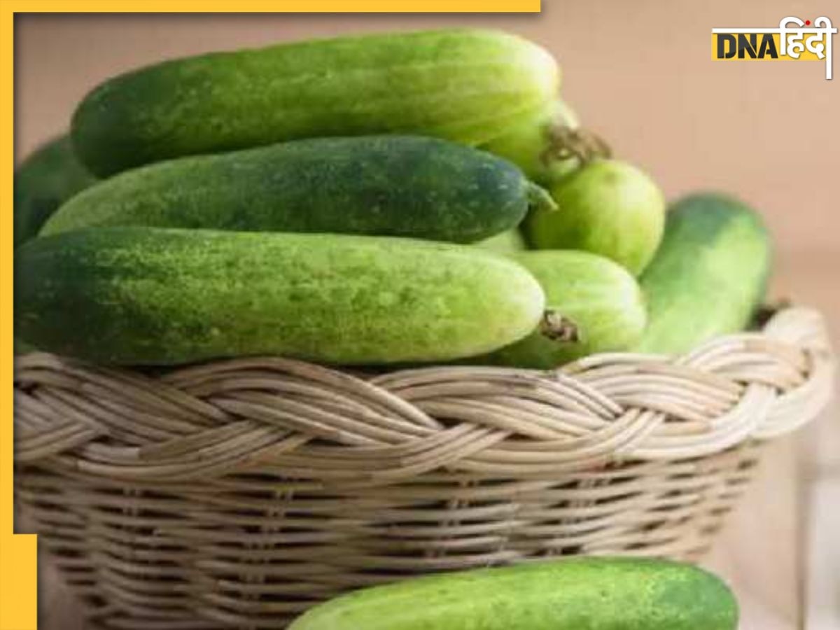 Cucumber Side Effects: खीरा खाने के बाद पीते हैं पानी तो तुरंत बदलें अपनी ये आदत, वरना फायदे के बदले होगा नुकसान