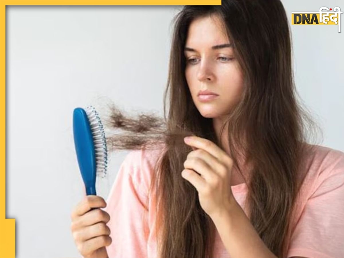 Hair Fall से हैं परेशान? शिकाकाई के साथ मिलाकर लगाएं ये 3 चीजें, जड़ से मजबूत और काले होंगे बाल