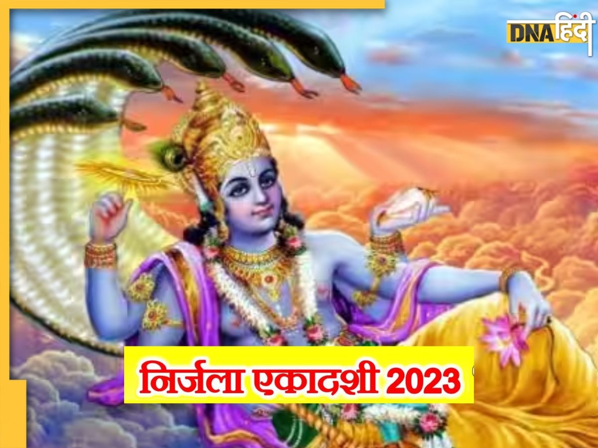 Nirjala Ekadashi 2023: निर्जला एकादशी पर श्रीहरि की कृपा से चमक जाएगी किस्मत, सिर्फ घर लें आए ये मूर्ति