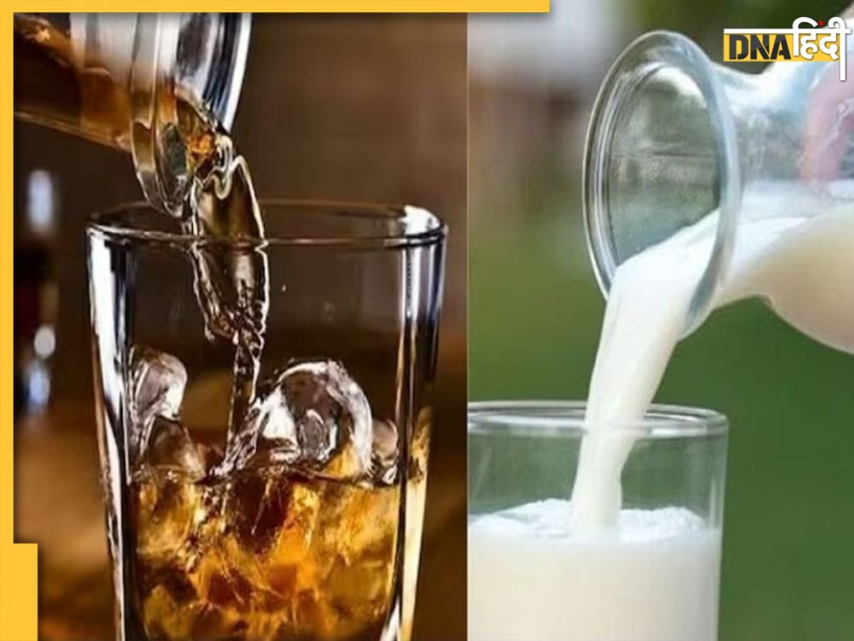 Milk Contains Alcohol: विस्की-बियर से भी ज्यादा नशा है इस जानवर के दूध में, पीते ही हो सकते हैं ��टुन