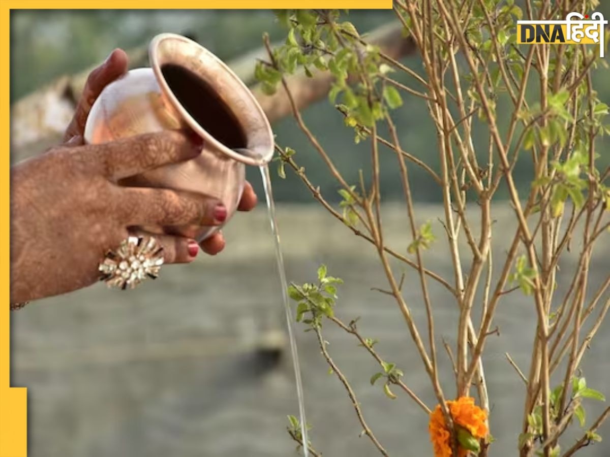 Tulsi puja Niyam: तुलसी की पूजा करते हुए ये चूक छीन लेगी घर की सुख-शांति, जान लें ये 5 बातें