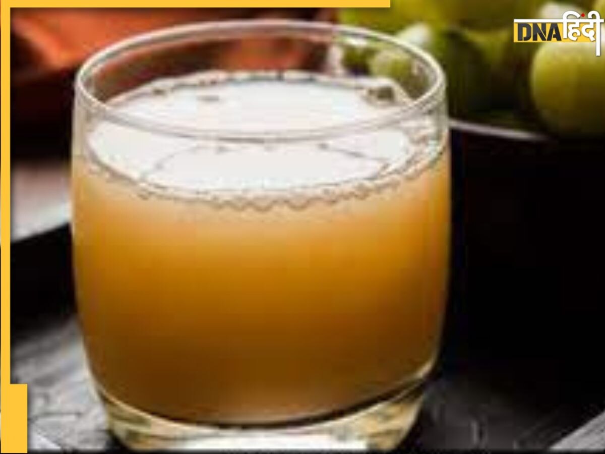 Liver Recover Remedy: डैमज हो गए लिवर को भी रिपेयर कर देंगी 6 आयुर्वेदि��क जड़ियां, यकृत पर चढ़ी वसा की परत भी गल जाएगी