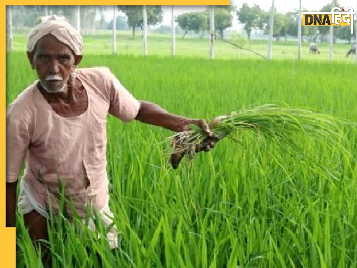 PM Kisan Yojana: यूपी सरकार ने चलाया विशेष अभियान, अब किसानों को पिछली किस्त भी मिलेगी