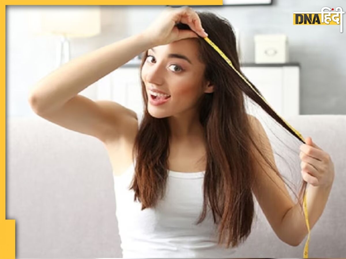 Hair Care Tips: बालों में प्रोटीन की कमी को पूरा कर देंगे ये 5 फूड्स, जड़ों तक मजबूत और शाइनी हो जाएंगे बाल