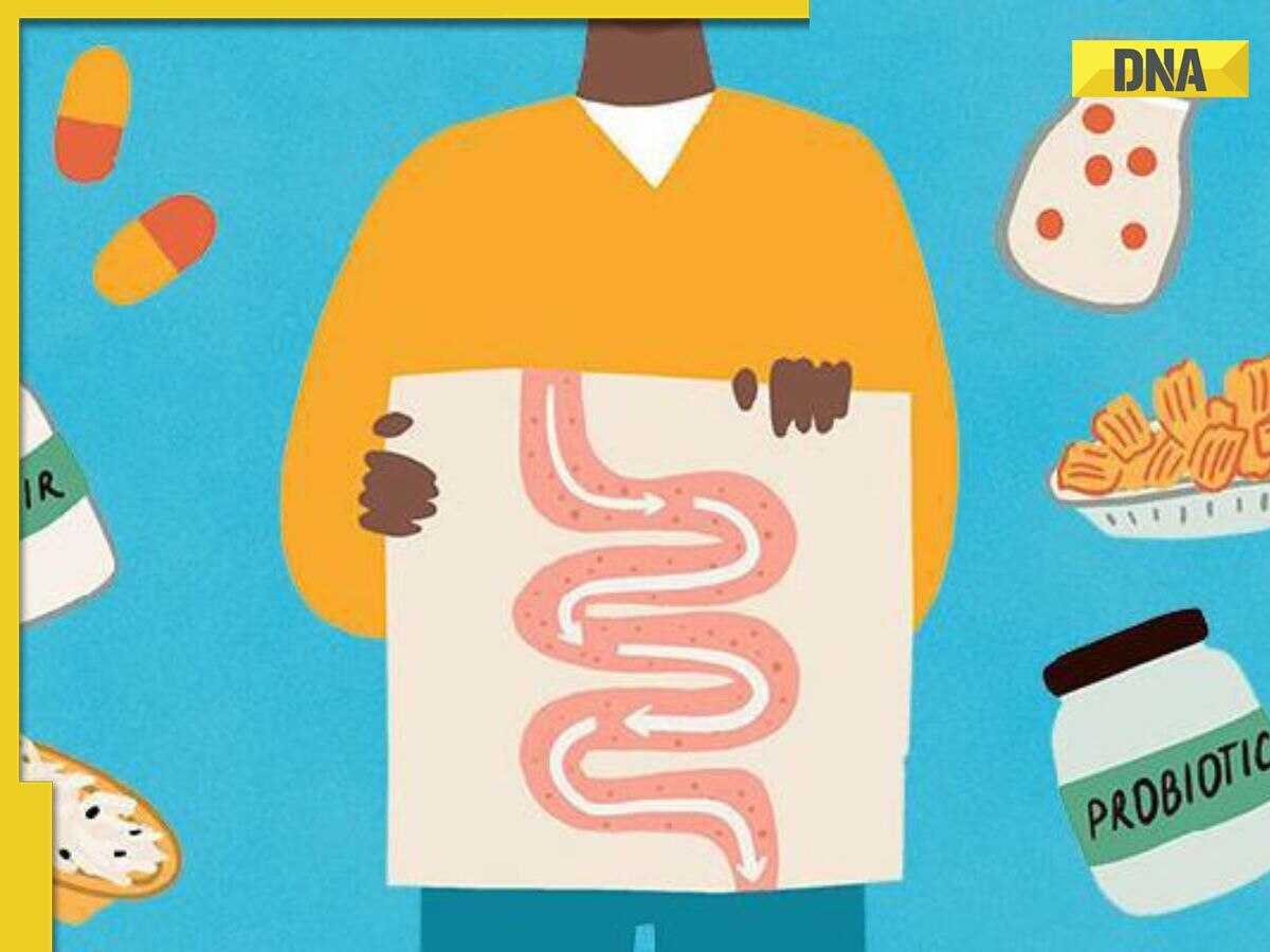 World Digestive Health Day: 7 effective tips to improve your gut health