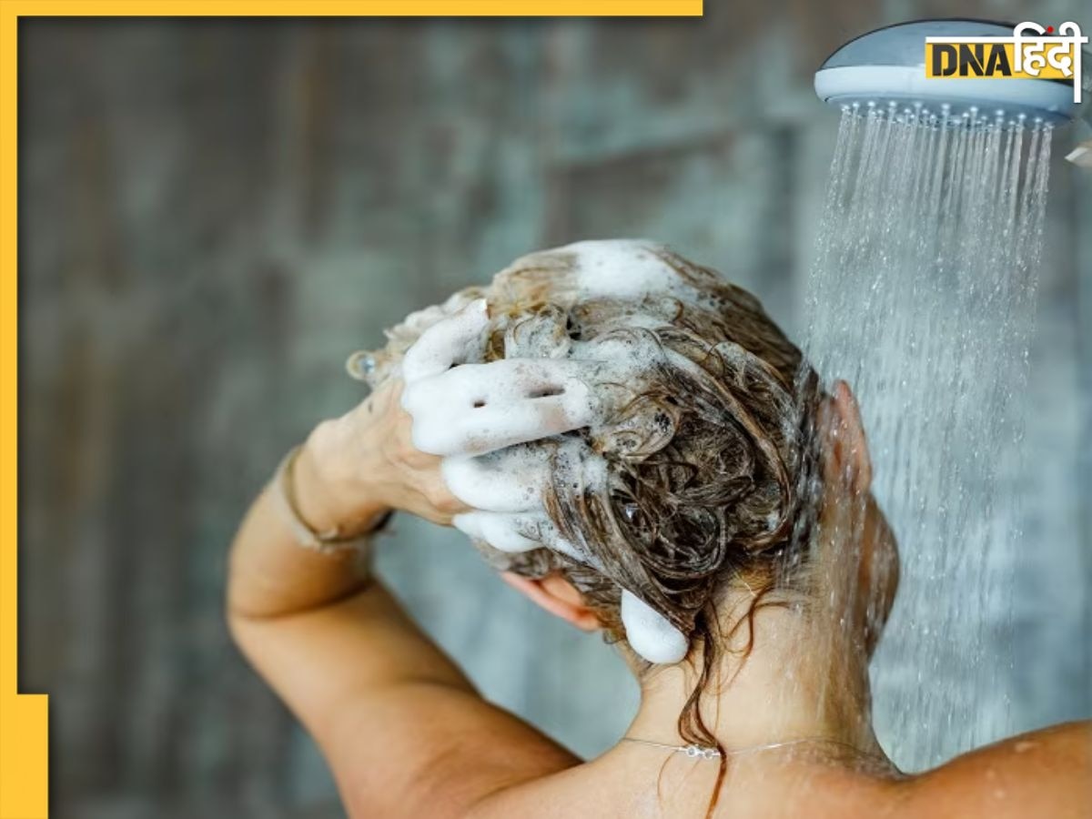 Homemade Herbal Shampoo: टूटते-झड़ते बालों से हैं परेशान? इस होममेड हर्बल शैंपू से करें हेय��र वॉश, हफ्ते भर में मिल जाएगा छुटकारा 