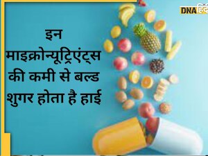 Diabetes Micronutrients Remedy: ये 7 माइक्रोन्यूट्रिएंट्स ब्लड शुगर को झट से करते हैं कम, डायबिटीज में इसकी कमी दवा-इंसुलिन को करती है बेअसर