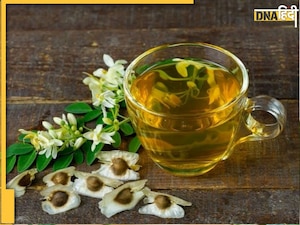 Fat Burner Remedy: पेट-कमर पर चढ़ी चर्बी की मोटी लेयर को भी पिघला देगी इन ये 2 हरी पत्तियाें से बनी चाय