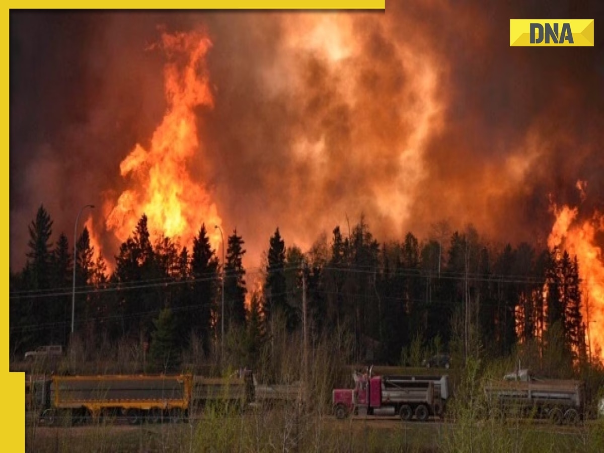 DNA Explainer: What is the cause of Canada wildfires and how it is affecting US?