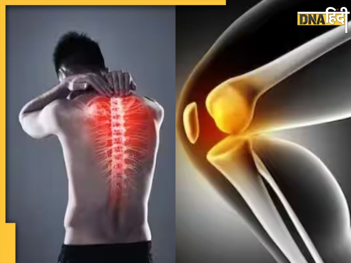 Bone Health: ये 7 लक्षण बताते हैं हड्डियों की खत्म हो रही ताकत, इन चीजों को खाने से बढ़ेगी बोन की पावर