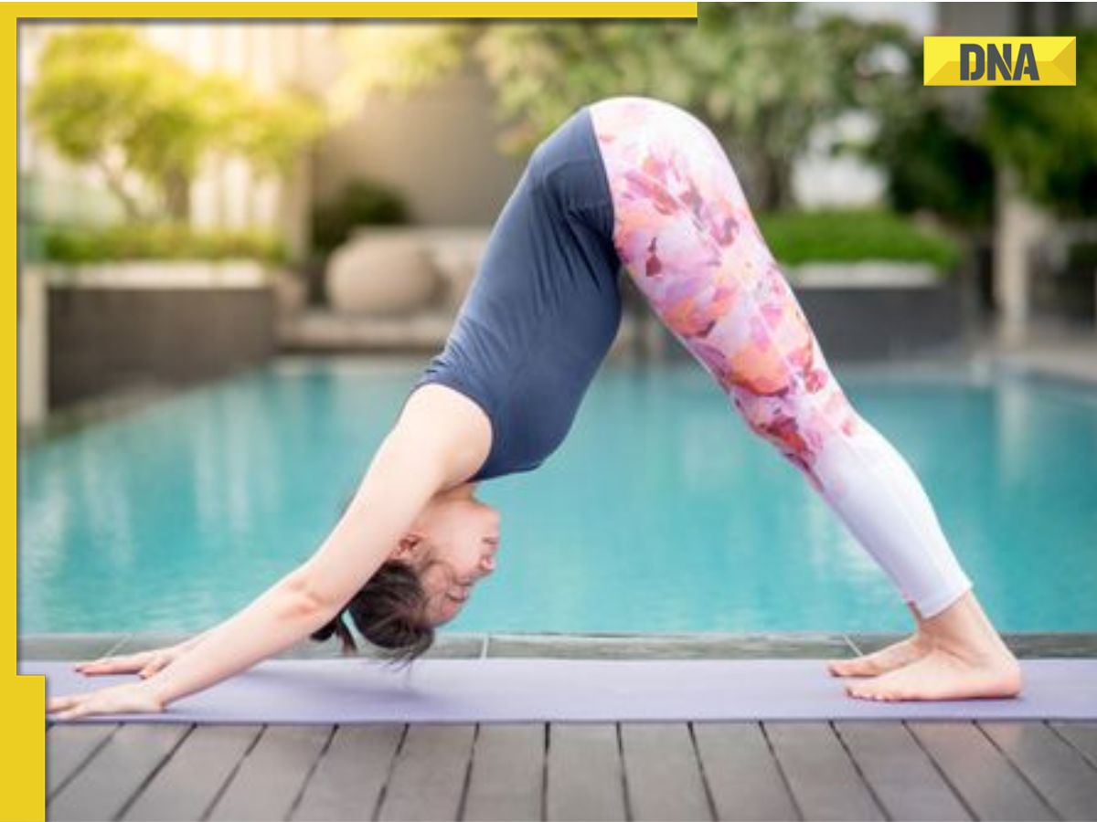 3 Yoga Poses for Back Stretch and Strength - walk with comfort through your  day