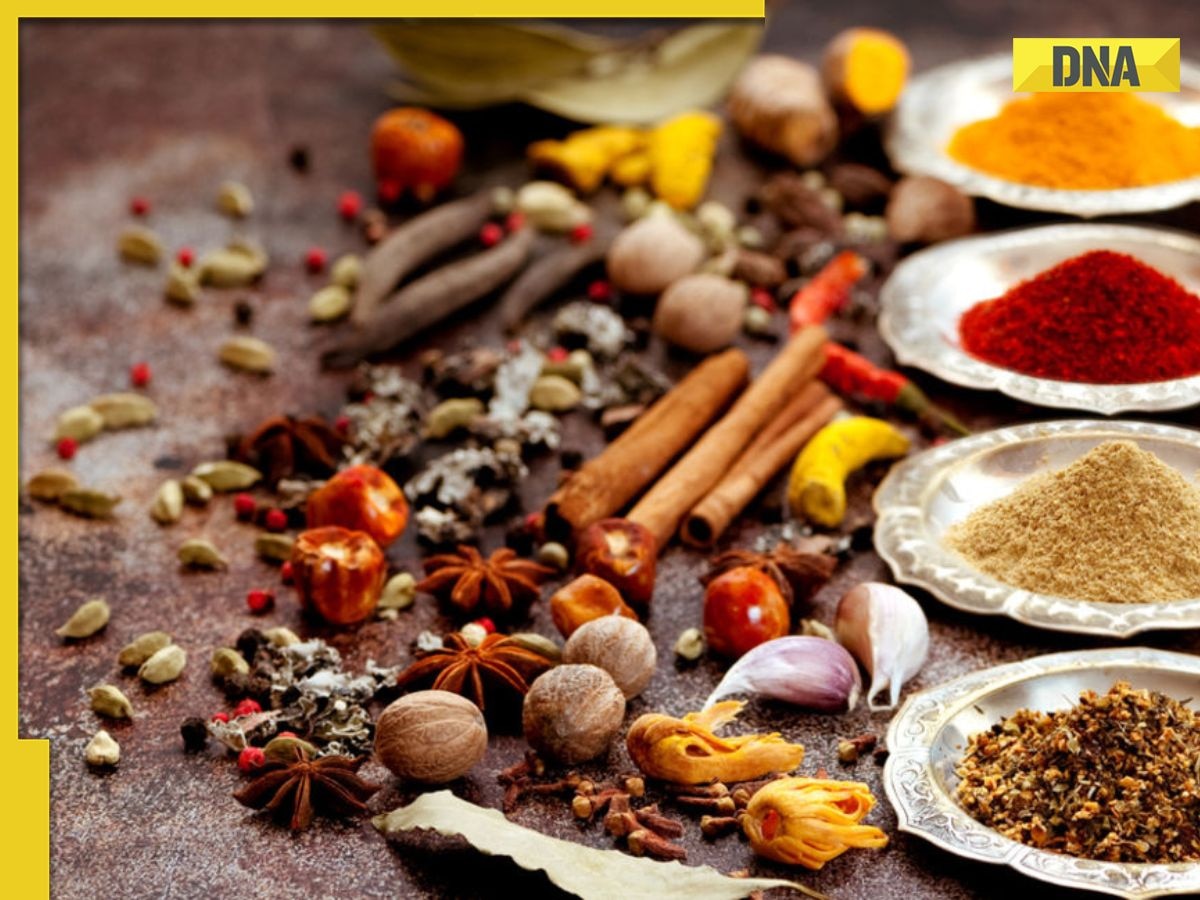 5 natural herbs and spices to boost your immunity in summers