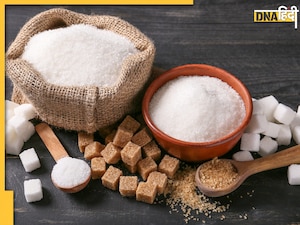 Sugar Free For Diabetes: बिना देखे शुगर फ्री लेने से जा सकती है जान, ये चीजें हैं डायबिटीज मरीजों के लिए बेस्ट 