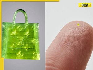'Bag for all my cash': Microscopic Louis Vuitton bag triggers laugh