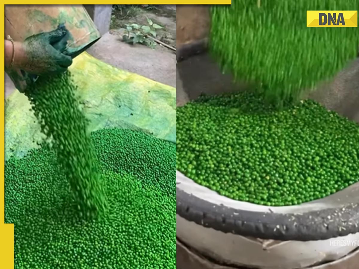 Love Green Matar snack? This viral video with 9 million views will make ...