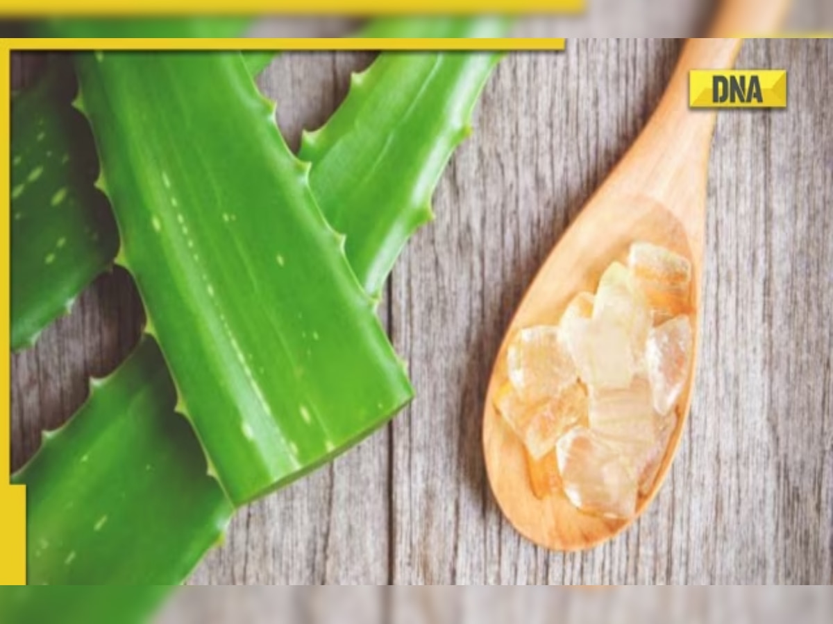 5 Benefits of Aloe vera for health and beauty