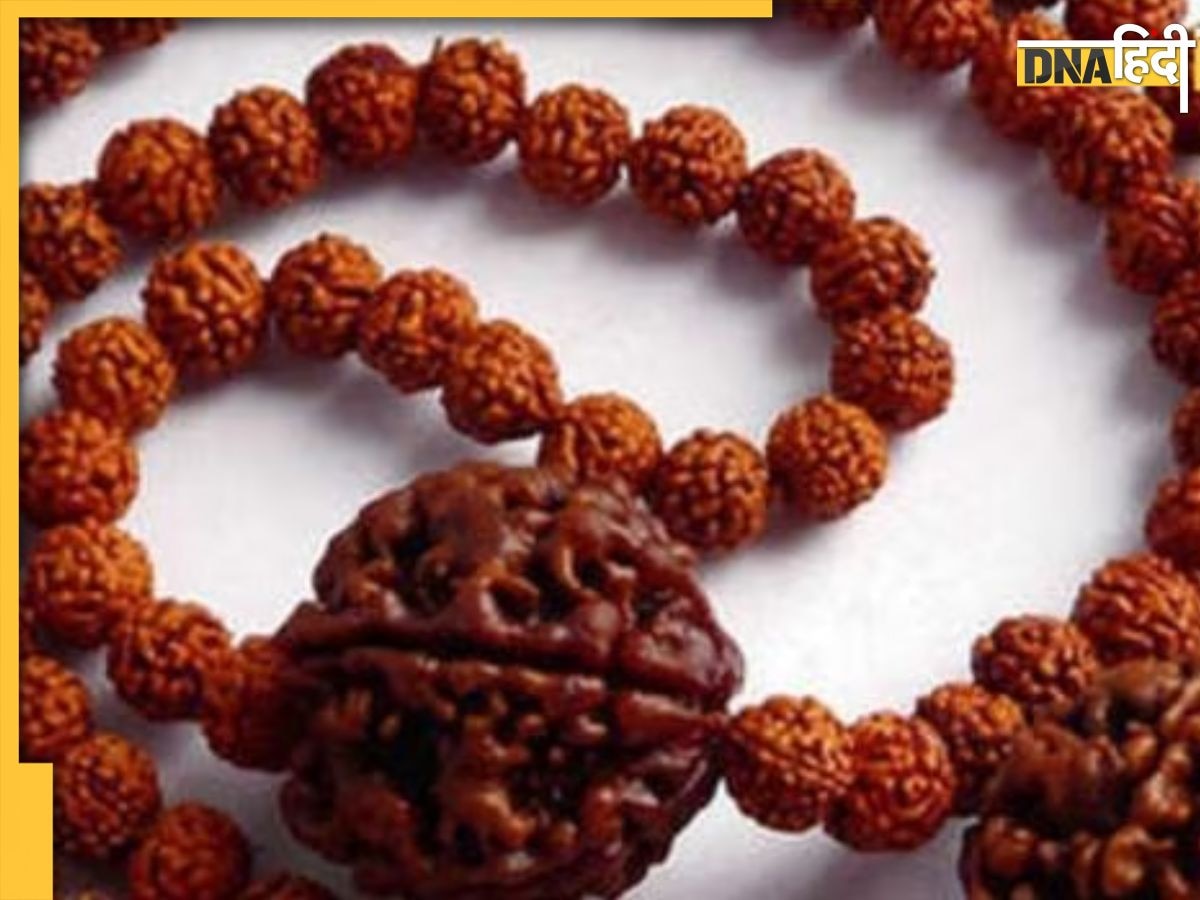 Rudraksha ke fayde: एकाग्रता बढ़ाने से लेकर संकटों को दूर रखता है रुद्राक्ष, जानें 1,2,4 और 7 मुखी वाले रुद्राक्ष के फायदे