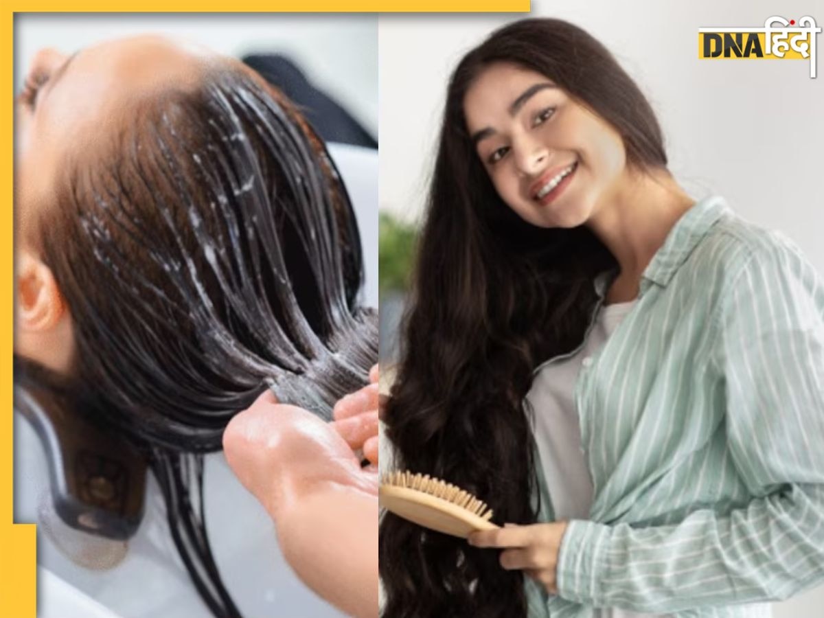 Homemade Shampoo: सफेद बालों को काला कर देगा रीठा-आंवला और शिकाकाई से बना ये होममेड शैंपू, हेयर फॉल की प्रॉब्लम भी होगी दूर 