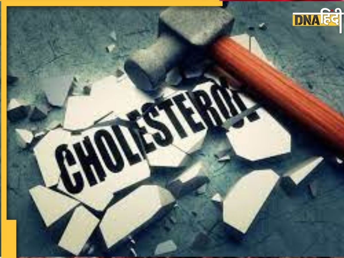 Cholesterol Alert: दवा-दुआ या आयुर्वेदिक औषधि भी कोलेस्ट्रॉल कम नहीं कर पाएगी, अगर शरीर में है इ�स एक चीज की है कमी