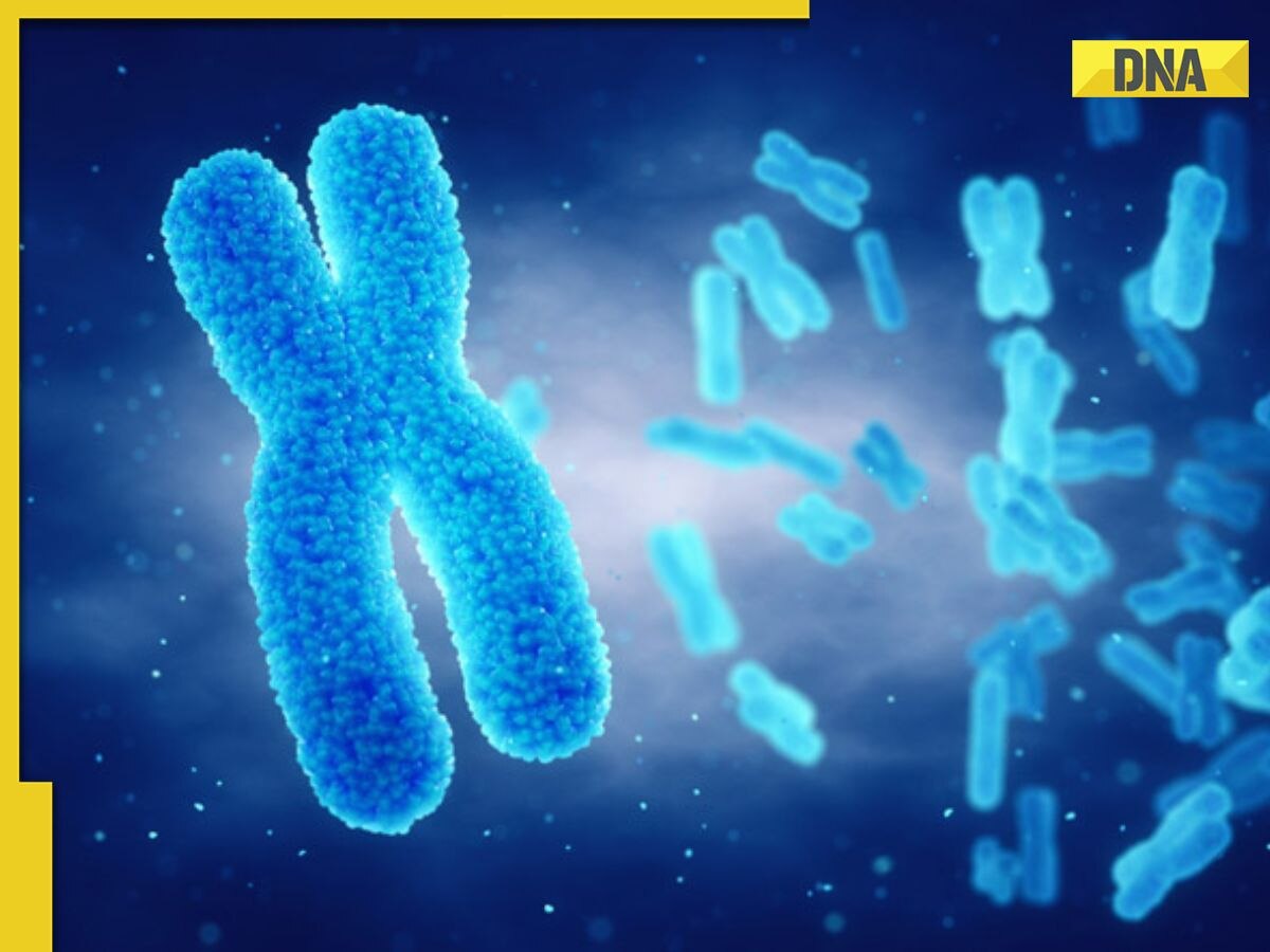 Study reveals Y chromosome loss in men with age linked with worse cancer outcomes