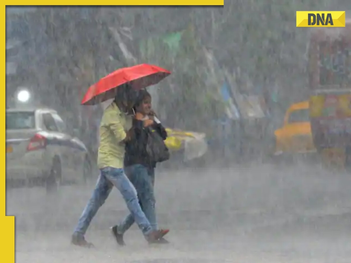 Weather Update: Heavy rainfall forecast in these states, UTs over next 5 days, IMD issues alerts; check list here