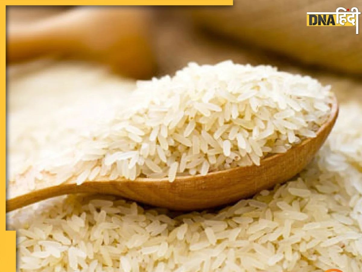 Rice Export Ban: सरकार ने चावल के निर्यात पर लगााया बैन, त्योहारों से पहले क्यों लिया इतना बड़ा फैसला?