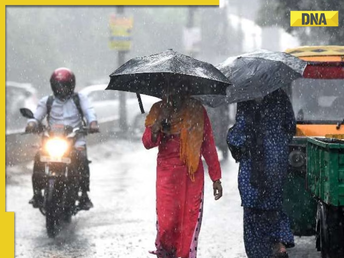 Weather update: IMD issues orange alert for 6 districts in Maharashtra, check complete list