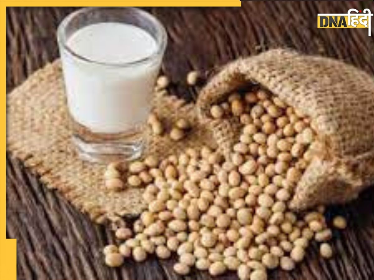 Best Drinks For Cholesterol: ये 7 ड्रिंक नसों में भरे कोलेस्ट्रॉल को खींच कर बाहर ले आएंगे, नसों की ब्लॉकेज भी खुलेगी