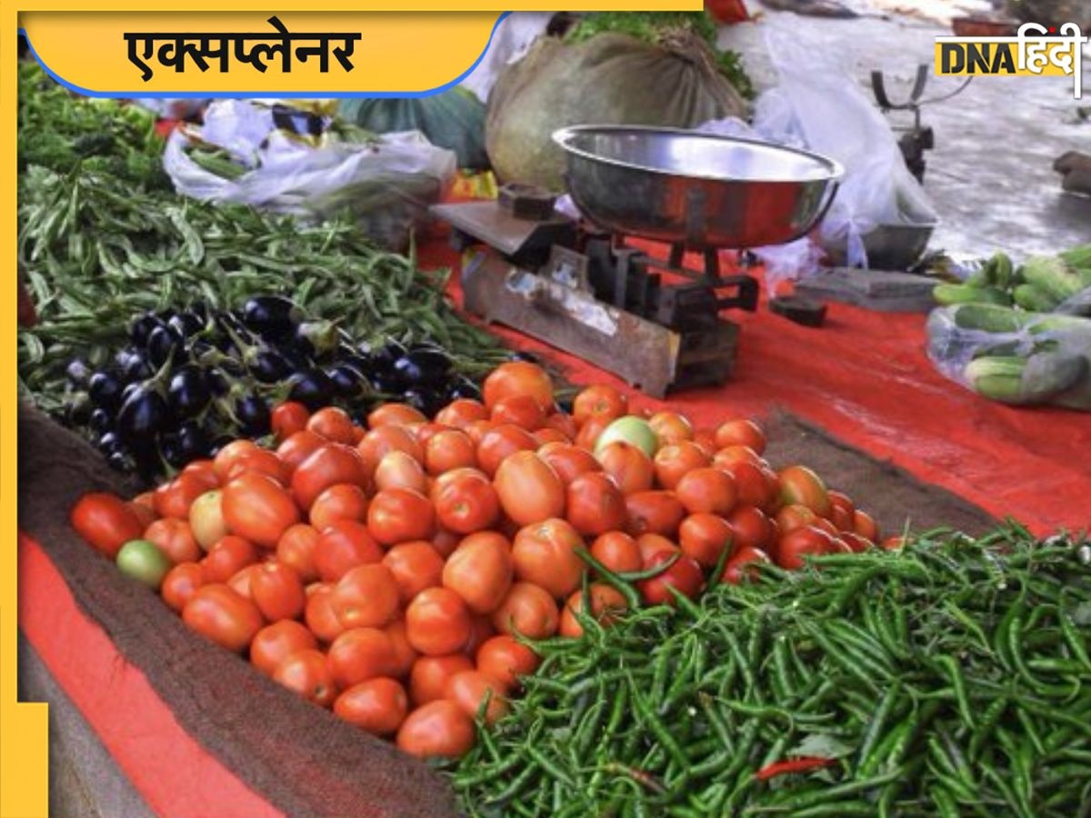 Tomato Price: सस्ते में टमाटर बेच रहे किसान, फिर आपके लिए क्यों हो गया महंगा? समझिए पूरा खेल