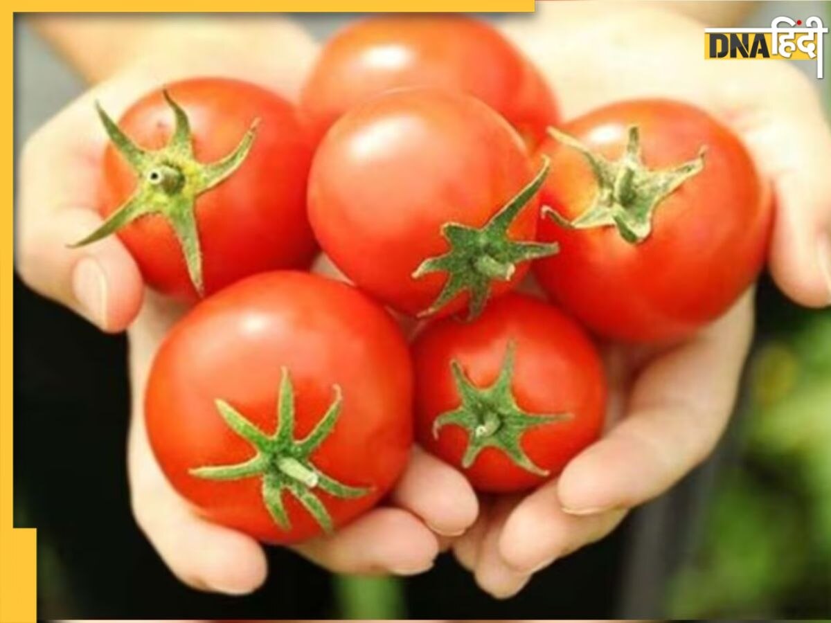 Alternative For Tomatoes: आसमान छू रहे हैं टमाटर के दाम, सब्जी बनाने में इसकी जगह कर सकते हैं इन 4 चीजों का इस्तेम��ाल