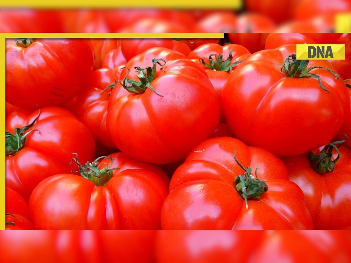 DNA Special: How soaring tomato prices burden common people