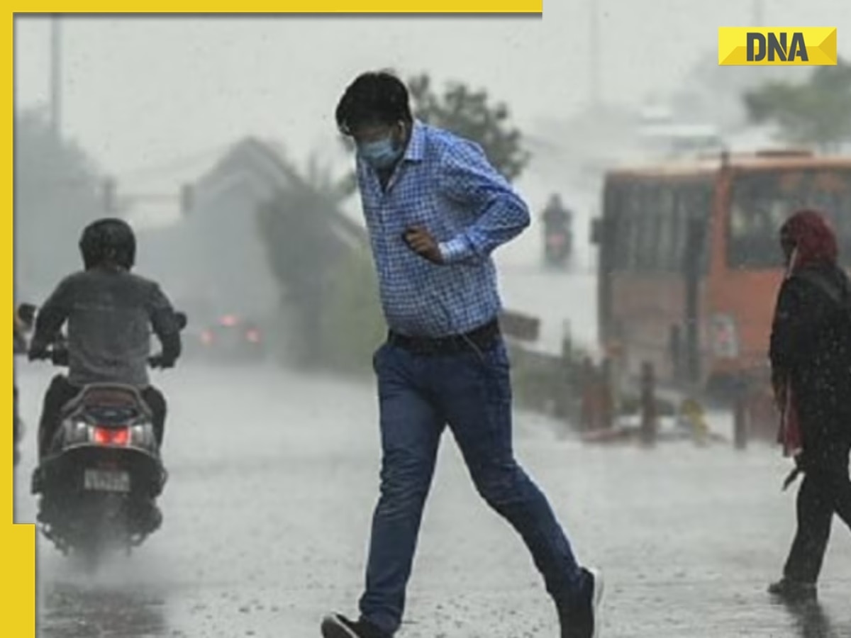 Weather update: IMD issues alert for 5 districts in Gujarat, check complete list