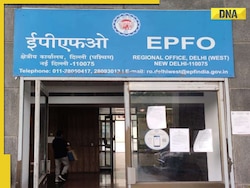 EPFO: Step-by-step guide on how higher EPS pension calculator works, check details
