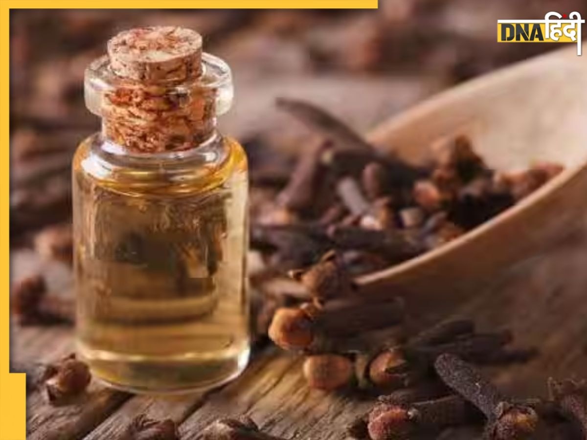 Clove oil Benefits For Skin: चेहरे पर निखार लाता है लौंग का तेल, इस तरह लगाएंगे तो एक्ने और पिंपल्स से मिलेगा छुटकारा