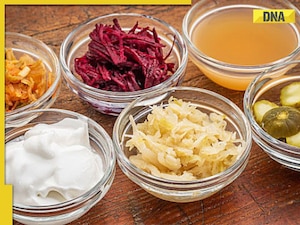 Yogurt to Miso: 5 must-eat fermented foods for healthy gut