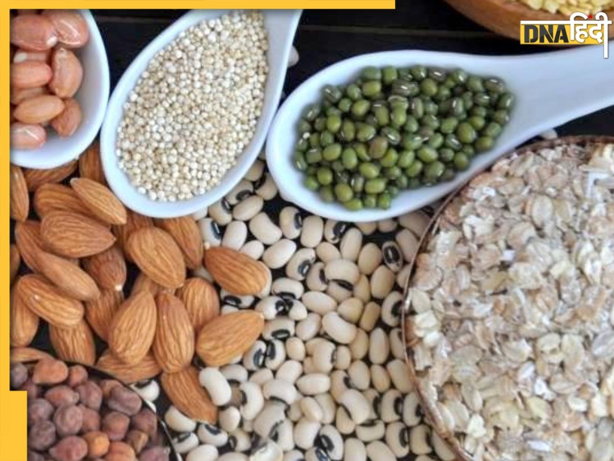 Protein Rich Food: इन शाकाहारी फूड्स से प्रोटीन की कमी होगी पूरी, High Protein के लिए शुरू कर दें खाना