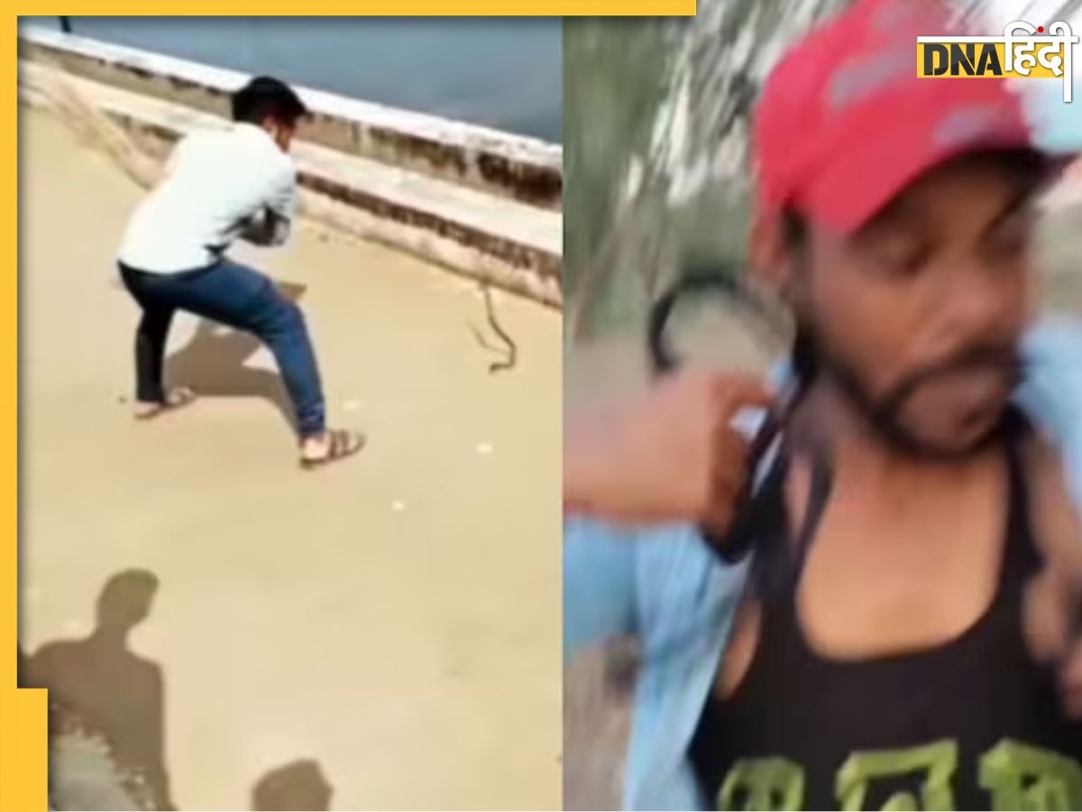  Viral Snake Video: लड़के ने झाड़ू से पकड़ा सांप तो हो गया कुछ ऐसा, वीडियो देखकर हंसी नहीं रोक पाएंगे आप