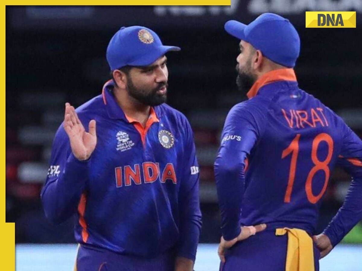 After World Cup 2023, 'future' of Rohit Sharma, Virat Kohli in T20s to be discussed; check details