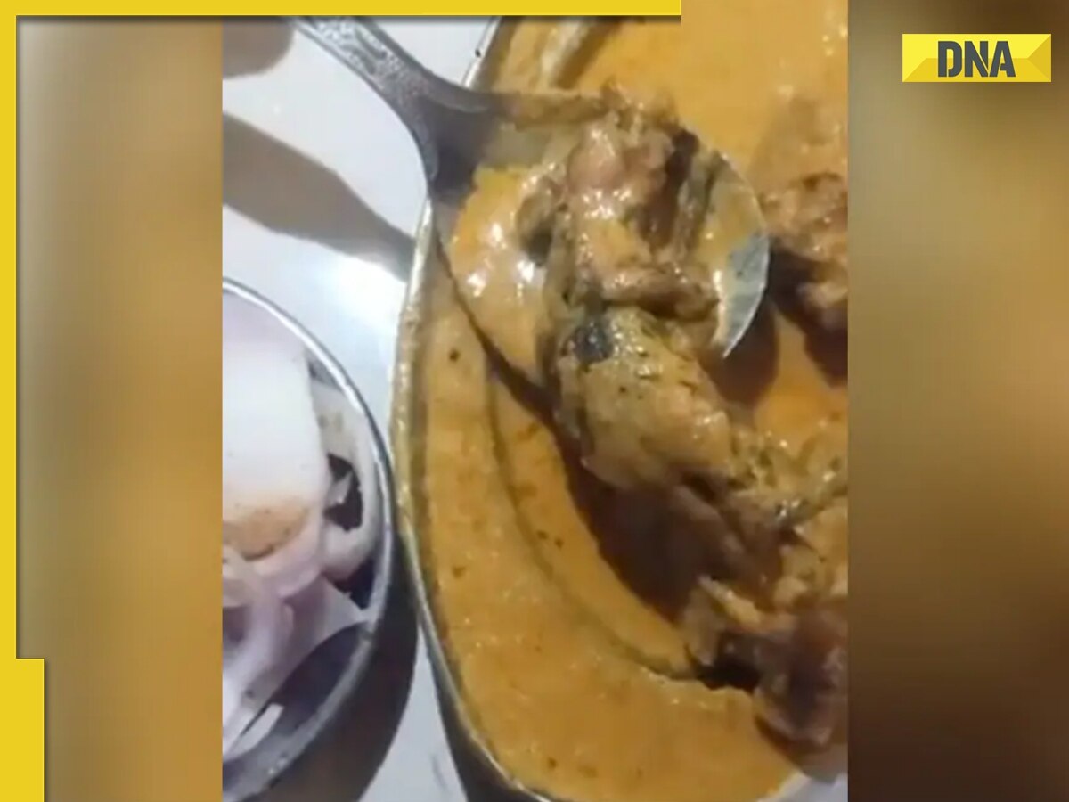Ludhiana eatery owner booked as 'dead rat' surfaces in non-vegetarian dish, video goes viral